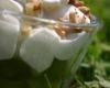 Verrine d'espuma de roquefort, raisin blanc et noix