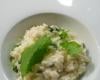 Risotto aux fanes de radis