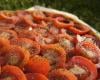 Tarte au concentré de tomates