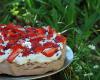 Pavlova fraise-violette