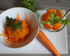 Sorbet carotte à la coriandre, croustillant de vermicelles et salade de carottes à l'orange