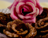 Roses des Sables express au bon chocolat