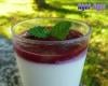 Panna Cotta aux Prunes Rouges