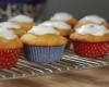 Cupcakes citron-bleuet