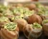 Escargots de bourgogne "Marguerite"