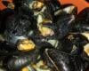 Moules à la crème et curry