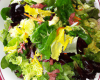 Salade vielle ferme