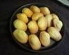 Madeleines à l'ancienne