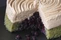 Entremet crème de Marron, pistache et myrtilles sauvages du Canada