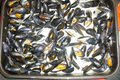 Recette charentaise : mouclade au curry