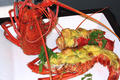Langouste gratinée