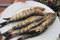 Sardines au barbecue