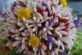 Bouquet croquant nature