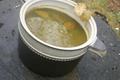 Potion de Druidesse