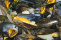 Moules à la marinière