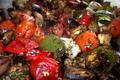 Ratatouille comme en Provence