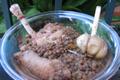 Mes lentilles du Sud-Ouest