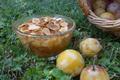 Crumble aux mirabelles maison