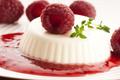 Panna cotta au chocolat blanc et son coulis de framboises au basilic