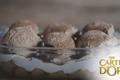 Tiramisu glacé Carte d'or®