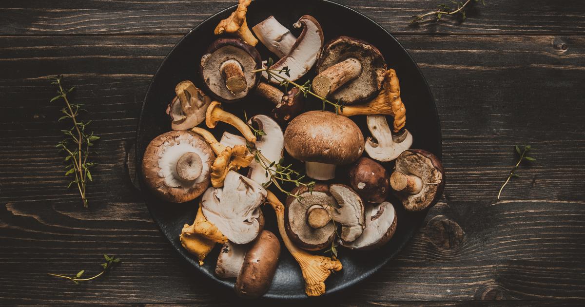 Champignons comestibles ou toxiques ? Les conseils pour éviter de  s'empoisonner