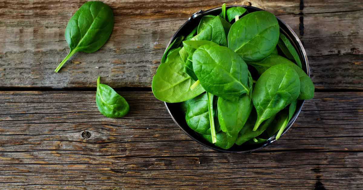 L'Épinard : Un Ingrédient Polyvalent pour Des Recettes Délicieuses en 2024