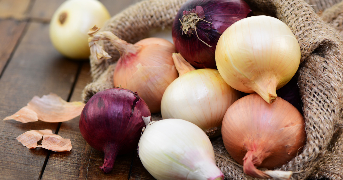 Rouge, jaune, blanc quel oignon pour quelle recette ? Rouge, jaune, blanc quel oignon pour quelle recette ?