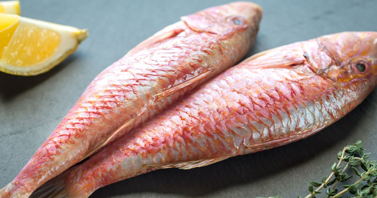 Rouget (ingrédient) Tout savoir sur le rouget 750g