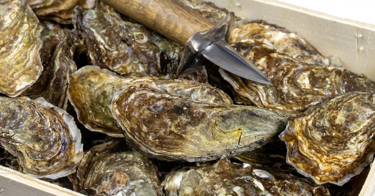 L'outil idéal pour déguster des huîtres - Châtelaine