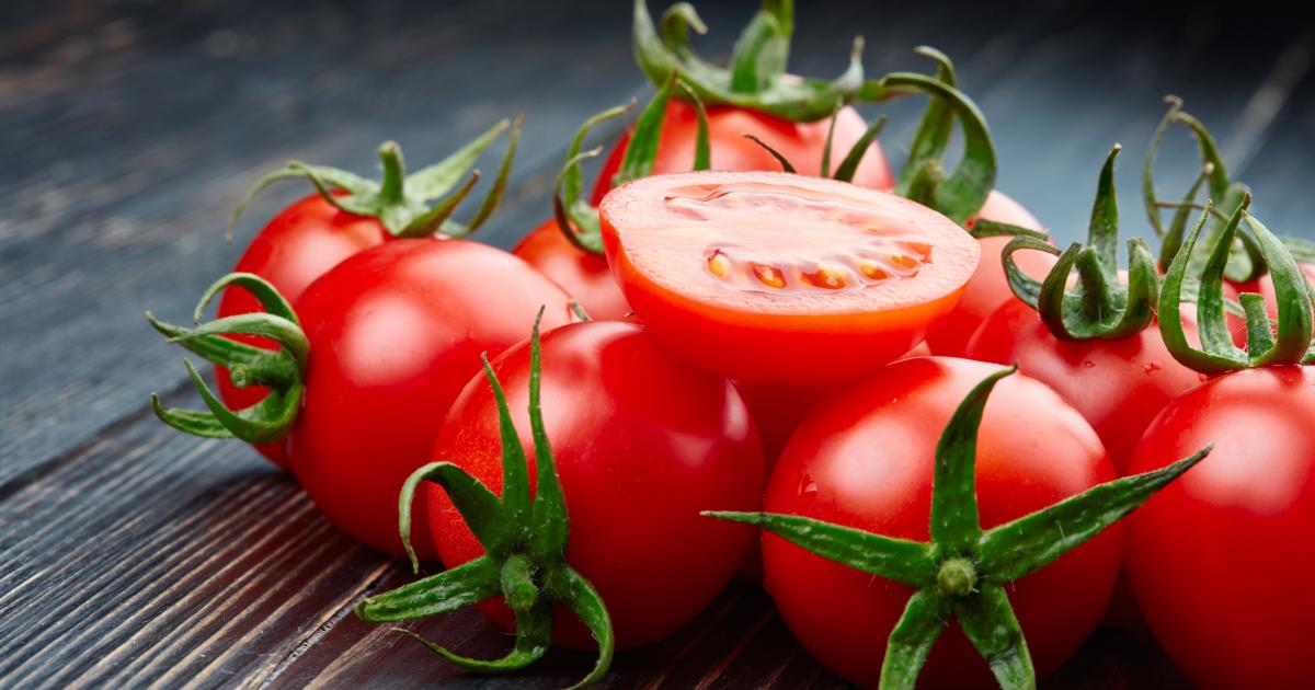 Tomate (ingrédient) - Tout savoir sur tomate