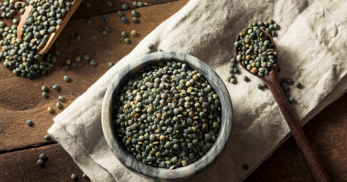 Variétés de plats à base de lentilles vertes
