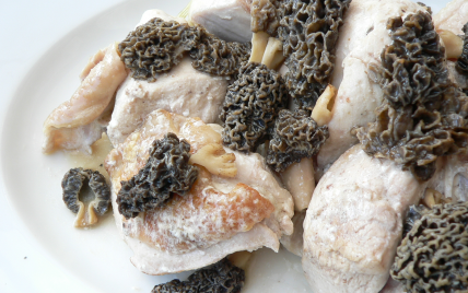 Recette Poulet au vin jaune et aux morilles