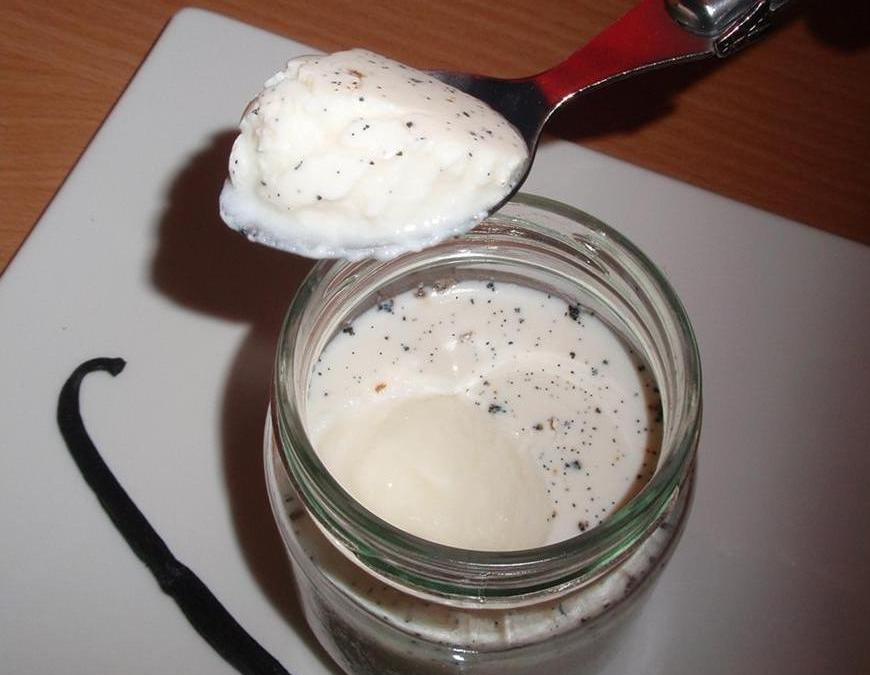 Yaourt maison à la vanille avec yaourtière facile et rapide : découvrez les  recettes de Cuisine Actuelle