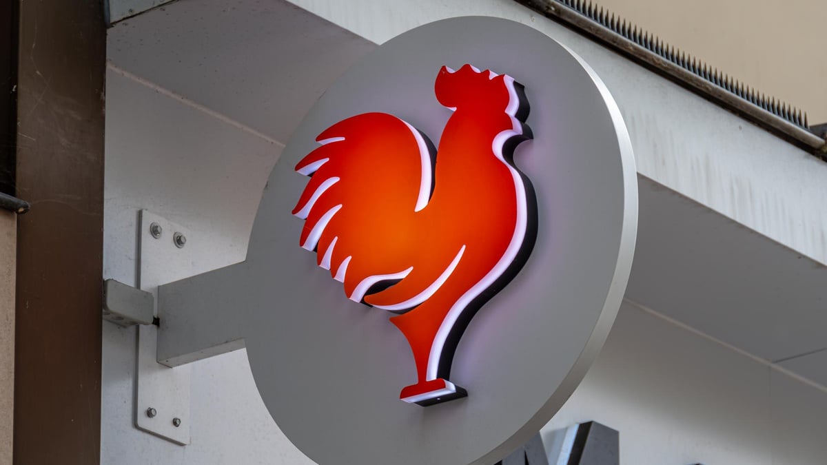 Master Poulet : ce qu'il faut savoir — image 2