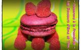 Macarons à la framboise inratables