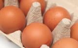Peut-on congeler les œufs ? Oui, mais une experte dévoile les pièges à éviter pour ne pas se rendre malade !