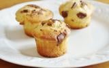 Muffins aux pépites de chocolat