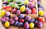 Prunes : un cancérologue détaille les bienfaits exceptionnels de ce fruit