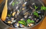 Moules au vin blanc et persil