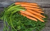 7 choses délicieuses à faire avec vos fanes de carottes