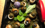 Aumônières d'escargots et de grenouilles