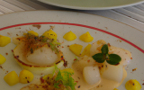 Noix de Saint-Jacques en chaud et froid : saisies, poêlée de pommes au Calvados, fin velouté d'endives / en carpaccio citron vert,endives et pommes à crues, crème acidulée aux herbes.