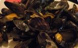 Moules marinières économiques