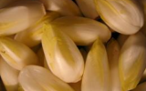 Endives bolognaises