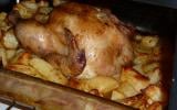 Poulet aux pommes de terre cuit au four