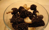 Morilles à la crème