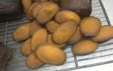 madeleines à l'orange