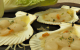 Coquilles d'endives saint jacques