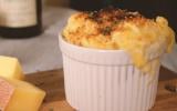 Gratin de macaroni aux 3 fromages