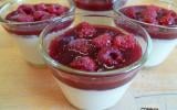 Panna cotta italienne aux framboises